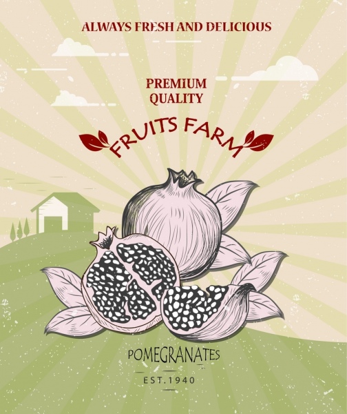 farma owoców banner granat, ikona retro projektu