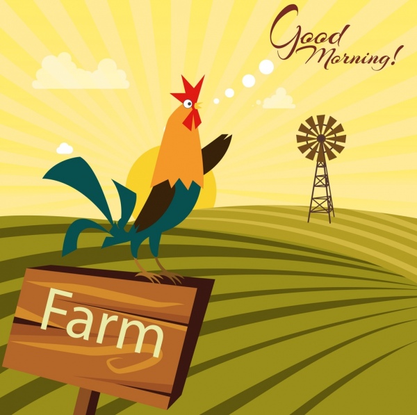 pertanian latar belakang ayam jantan bidang ikon teks dekorasi
