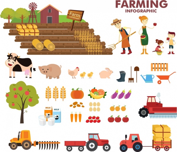 Фермерство Инфографика Элементы дизайна Цветной мультяшный эскиз