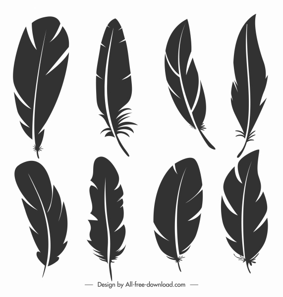 plumas iconos oscuro negro bosquejo plano