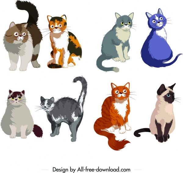 猫图标收集可爱的彩色卡通素描