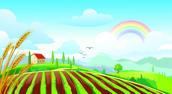 Campo paisaje con arco iris
