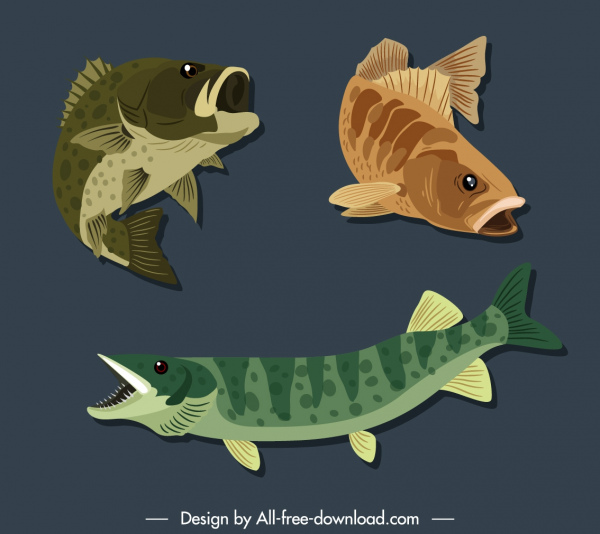 Fischarten Symbole Bewegung Skizze farbige klassische handgezeichnet