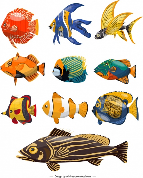pesci specie icone disegno colorato