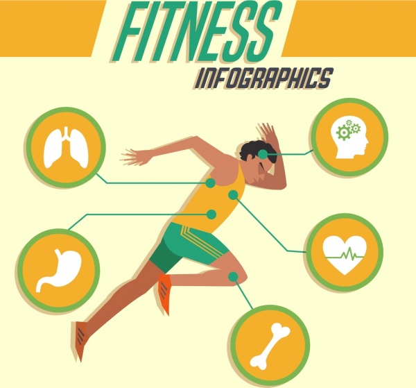 fitness infographics atleta icona organi silhouette decorazione