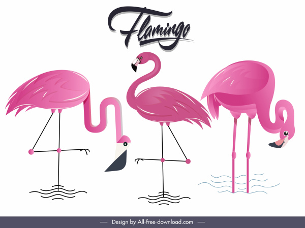 фламинго видов фона цветные плоский эскиз