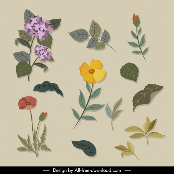ícones flora elegante esboço clássico desenhado à mão