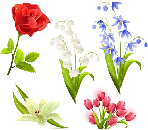 Flora ikon realistis berwarna-warni desain modern