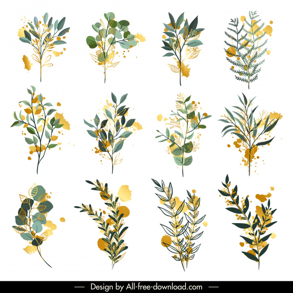 植物叶子图标彩色经典素描