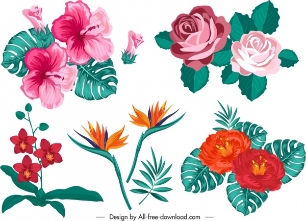 colorido clásico sketch de diseño floral elementos
