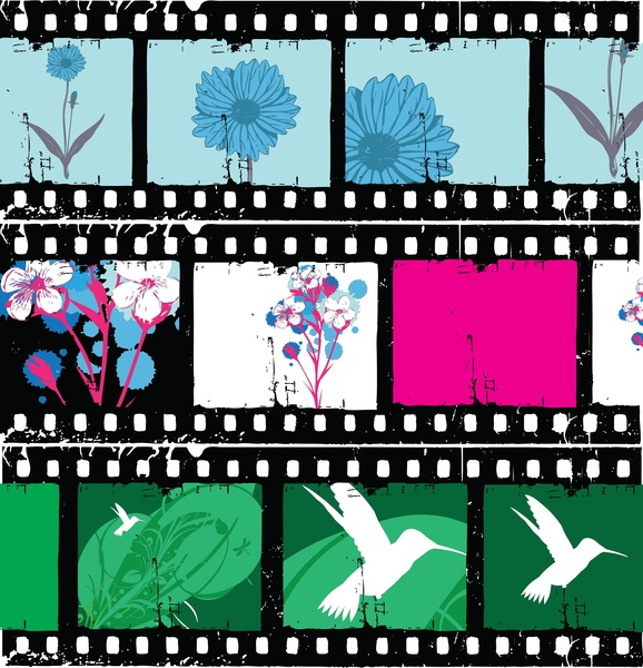 花のフィルム ストリップのベクトル