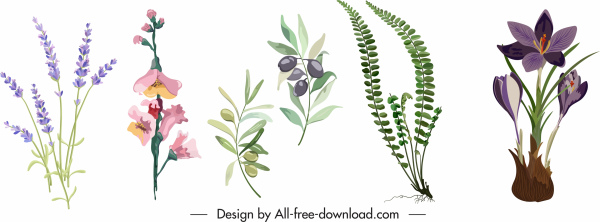 projeto clássico colorido floral ícones