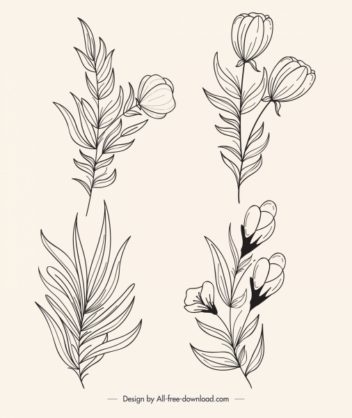 plantas florais ícones preto branco contorno desenhado à mão