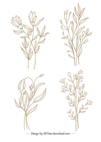 plantas florales iconos clásico dibujado a mano boceto