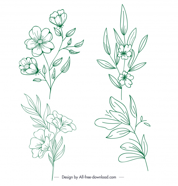 ícones floras clássico contorno desenhado à mão plana