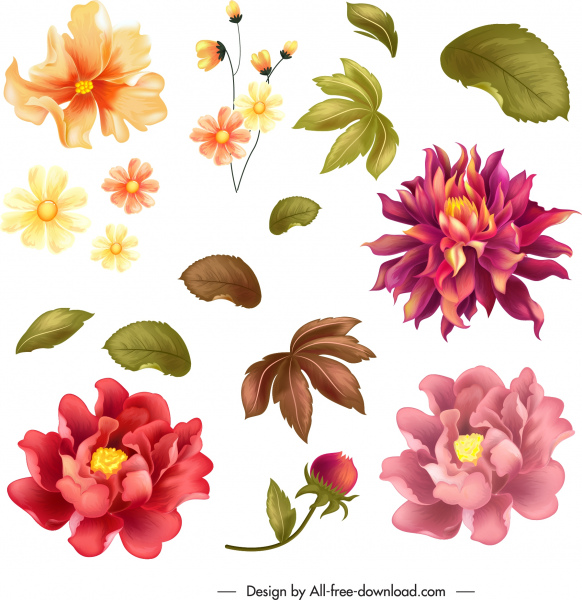 éléments de conception de fleurs pétales colorés icônes de feuilles