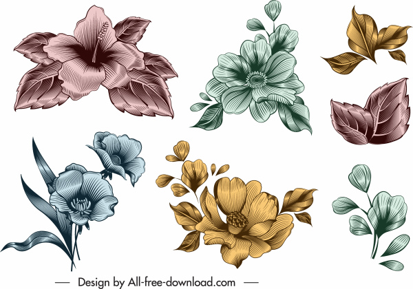 modelos de ícone de flor brilhante colorido elegante design vintage