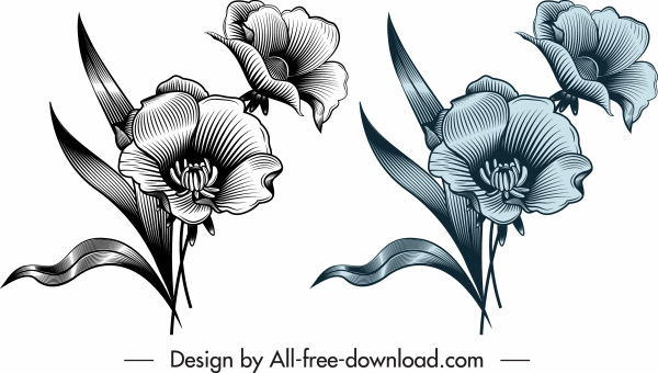 Çiçek Şablonu Parlak Zarif Tasarım Vintage Kroki