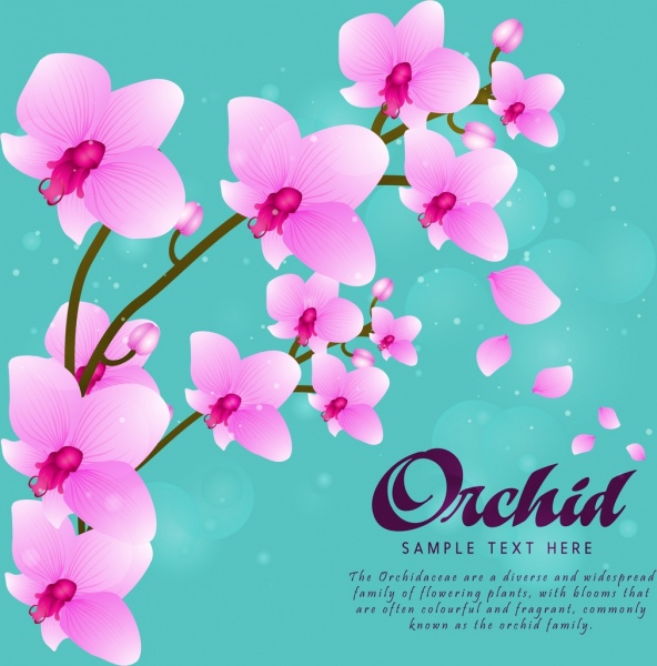 ícones de orquídeas violeta de desenho de flores