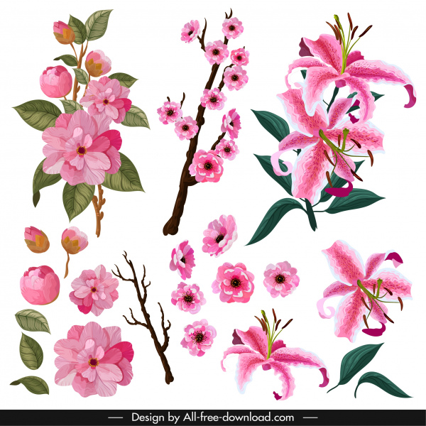 Bunga ikon kelopak cabang sketsa desain warna-warni klasik