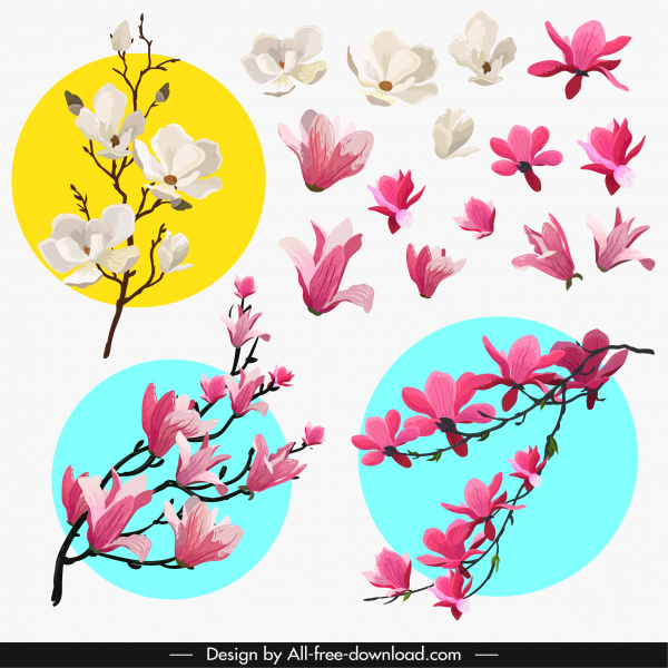 ícones de flores coloridas esboço clássico