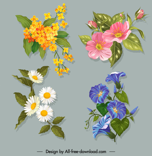 鮮花圖示五顏六色經典設計綻放素描