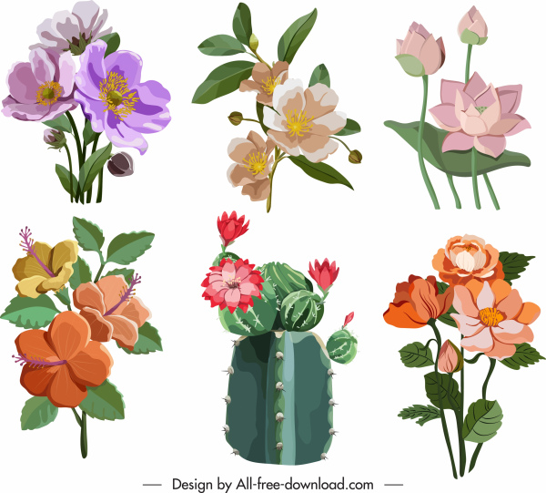 biểu tượng hoa đầy màu sắc cổ điển thiết kế