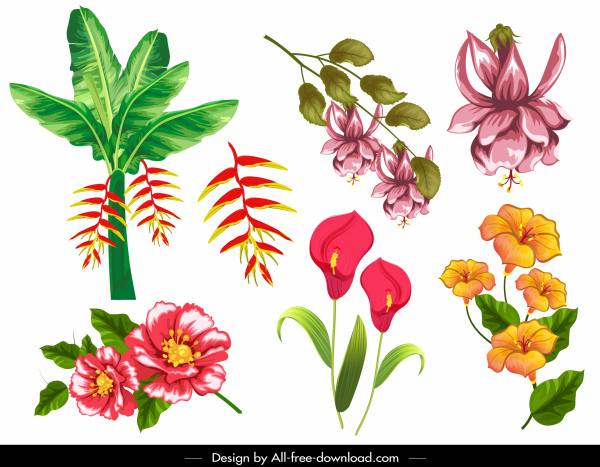 Ícones de flores design clássico colorido
