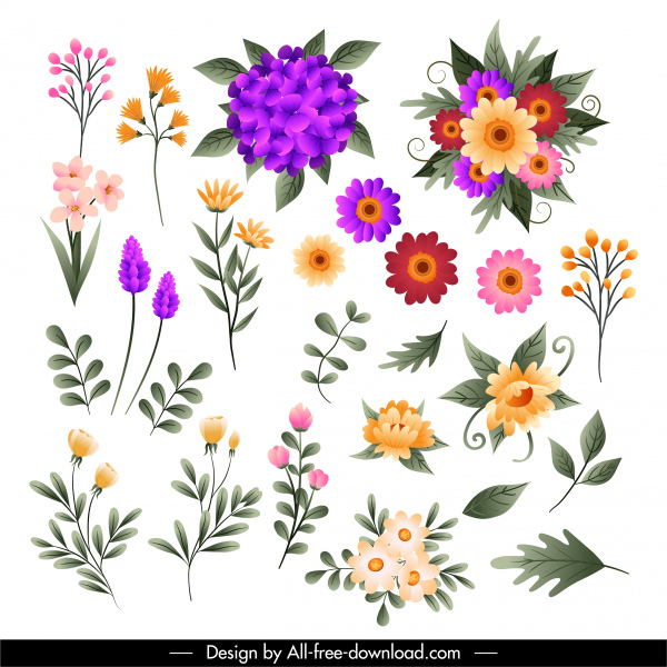 ícones de flores pétalas coloridas esboço folha