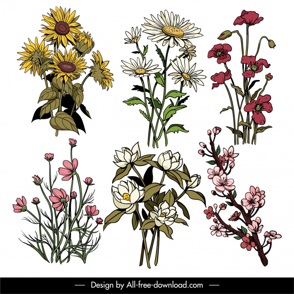 flores variedad iconos colorido clásico dibujado a mano boceto