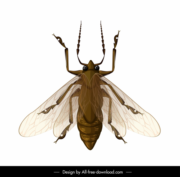 ikon serangga terbang berwarna modern closeup desain