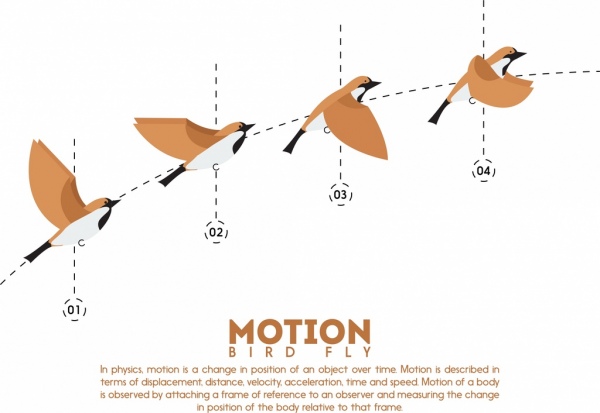 Полет птиц инфографики движения наброски