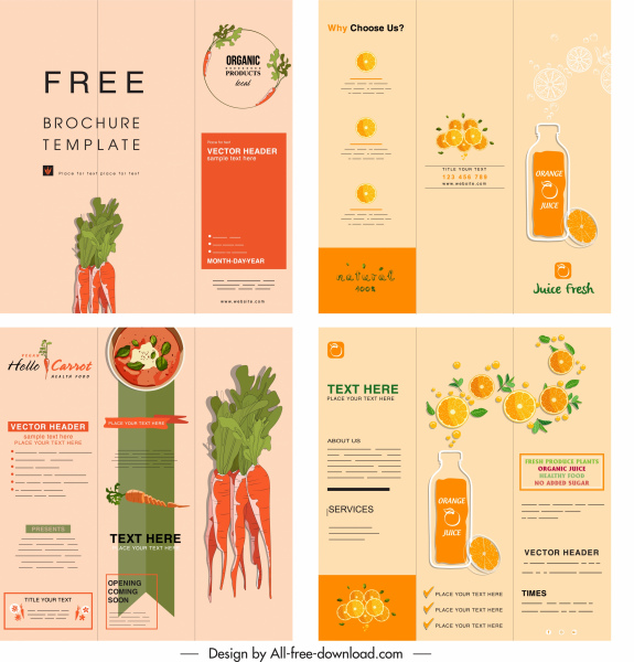 пищевой брошюры шаблоны морковь оранжевый темы цветные классические
