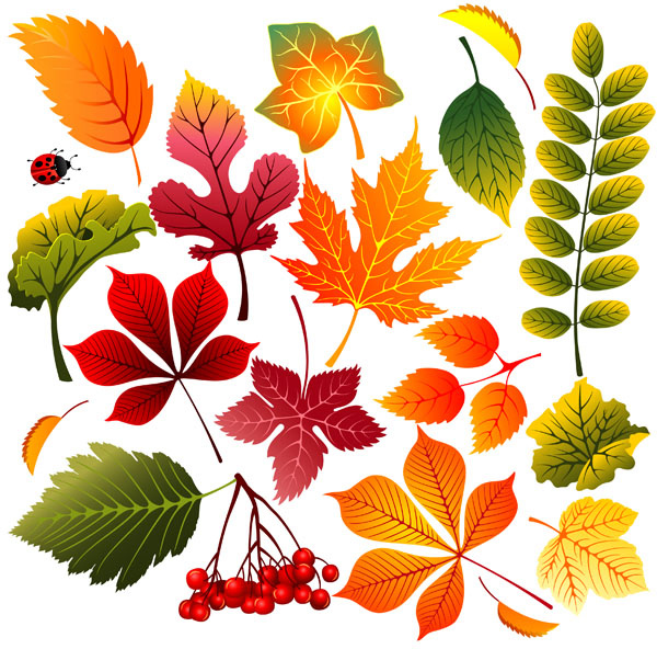 hojas de otoño libres