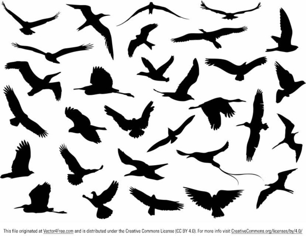 自由飛行的鳥類剪影向量