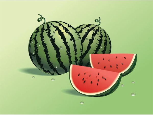 Free Vector Juicy Water Melon