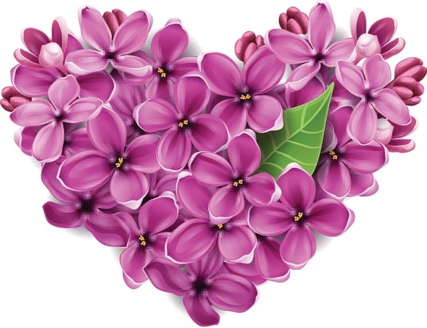 Free Vector Lilac Flower Made Heart