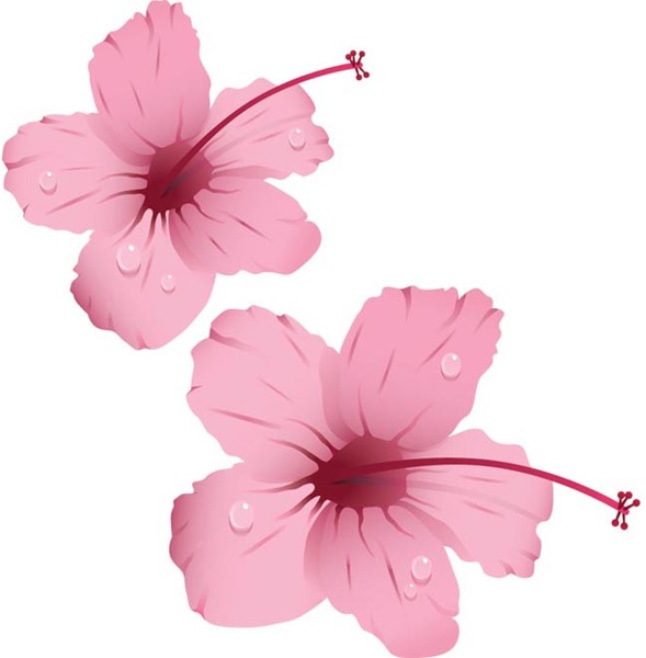 kostenlose Vektor natürliches rosa Orchidee paar