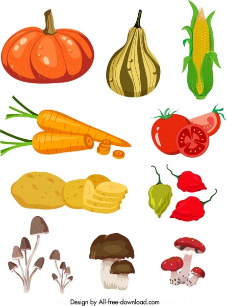 productos agrícolas frescos iconos coloridas verduras frutas boceto