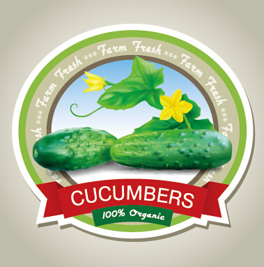 Fresh Cucumbers Creative Labels Vector