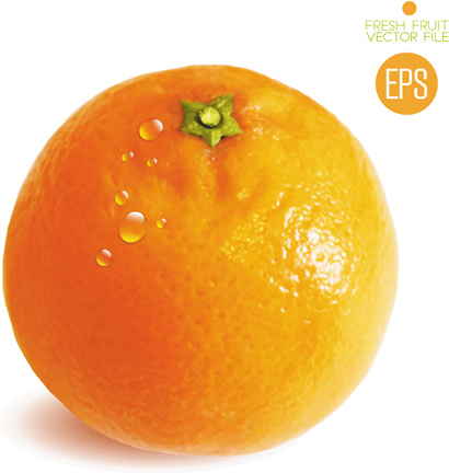 ชุดเวกเตอร์ส้มผลไม้สด