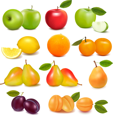 vector realista de frutas frescas