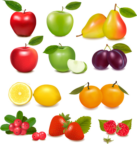 新鮮な果物の現実的なベクトル