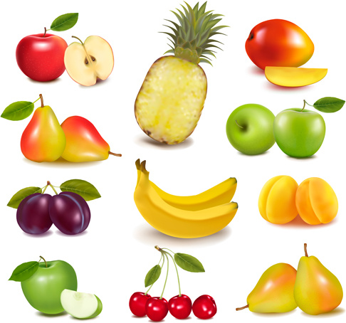 buah-buahan segar realistis vektor