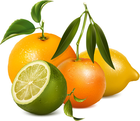 vecteur de conception créative de citron frais 4