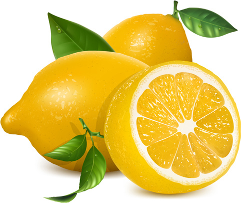 vecteur de conception créative de citron frais 5