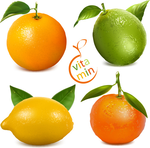 新鮮なオレンジとレモンのベクトル