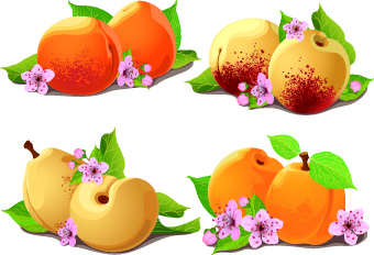 新鮮な梨と桃のベクター