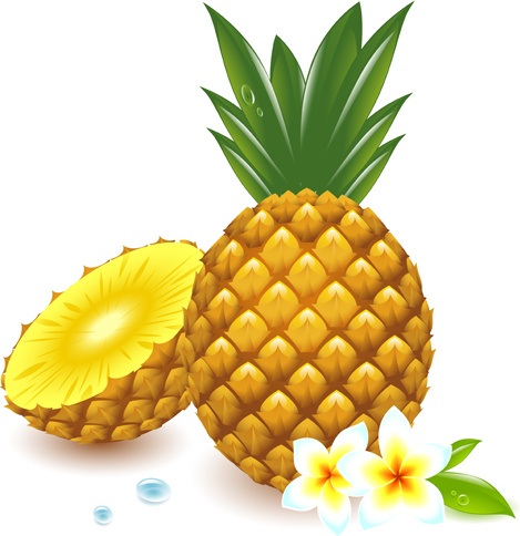 Graphique vectoriel d’ananas frais