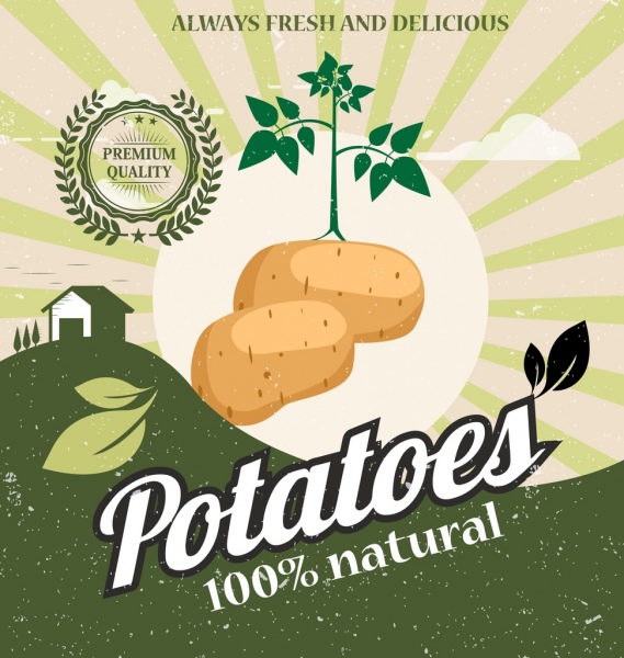 新鮮なジャガイモを色とりどりのレトロなデザインの広告